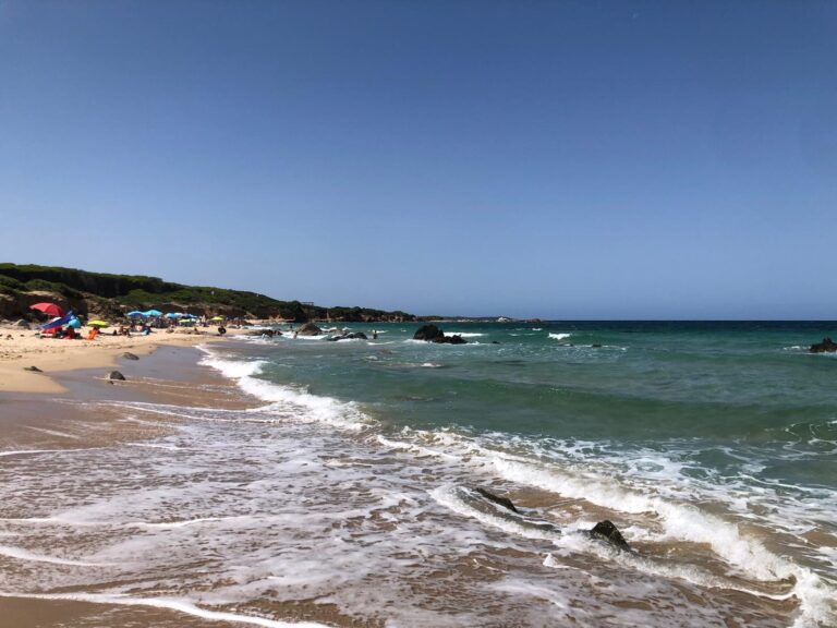 WhatsApp Image 2025-03-05 at 19.18.09 (1)