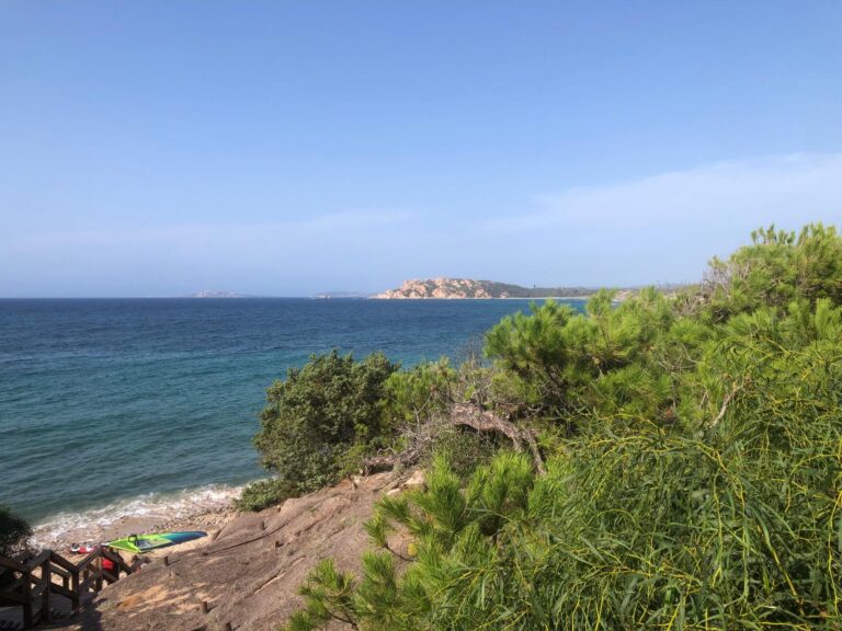 WhatsApp Image 2025-03-05 at 19.18.10 (1)