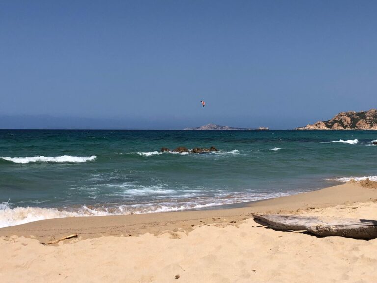 WhatsApp Image 2025-03-05 at 19.18.10