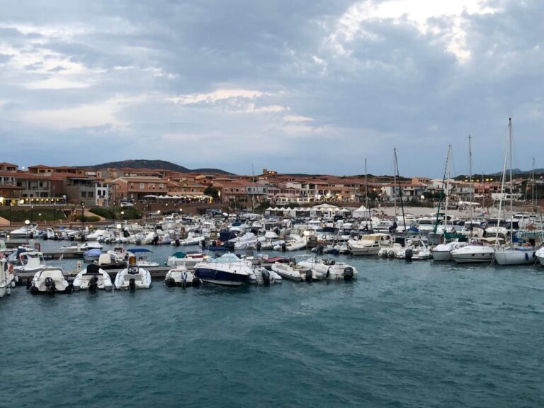 WhatsApp Image 2025-03-05 at 19.24.19 (1)