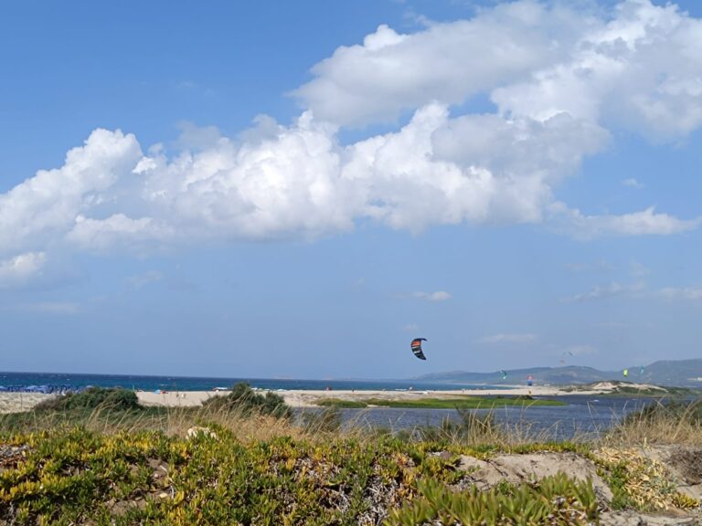 WhatsApp Image 2025-03-05 at 19.25.10